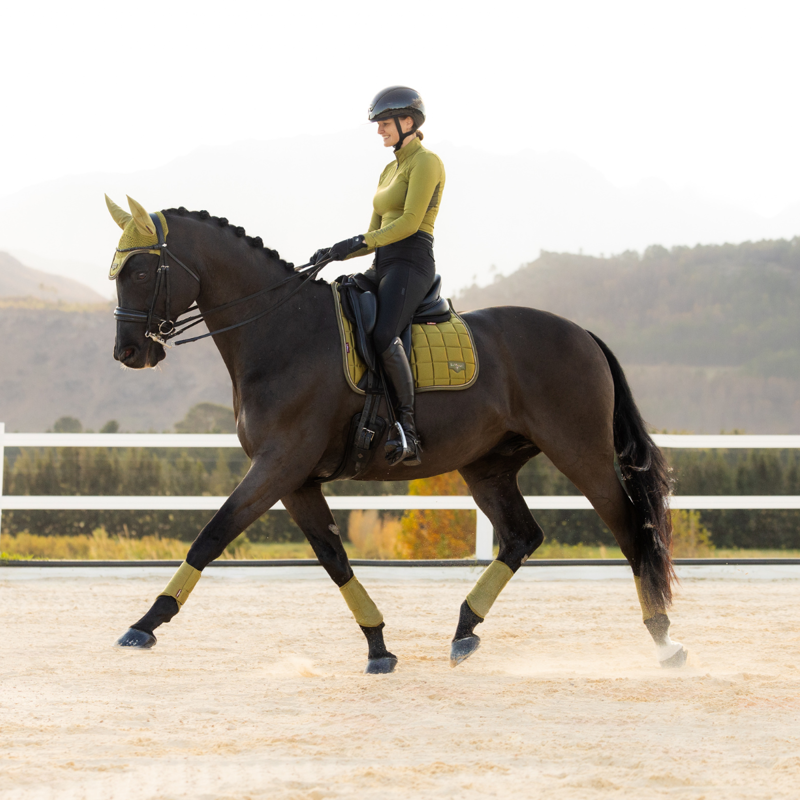 LeMieux Loire Classic Dressage Square - Gooseberry-1