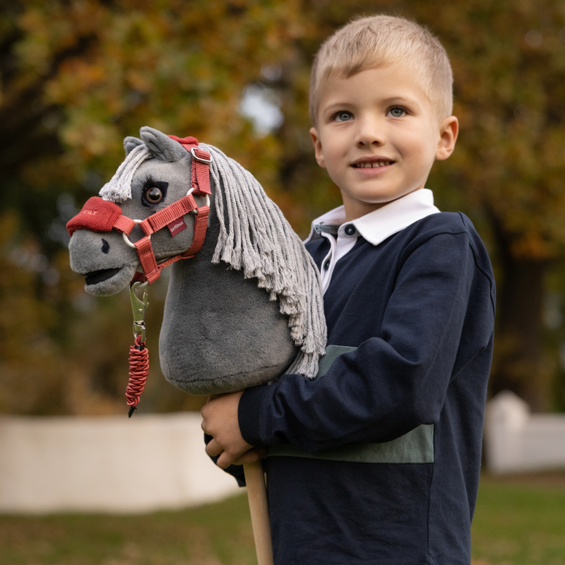 LeMieux Hobby Horse Mini - Smokey-1