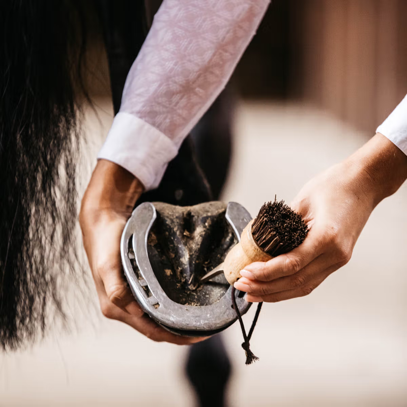 Grooming Deluxe Small Hoof Pick-1