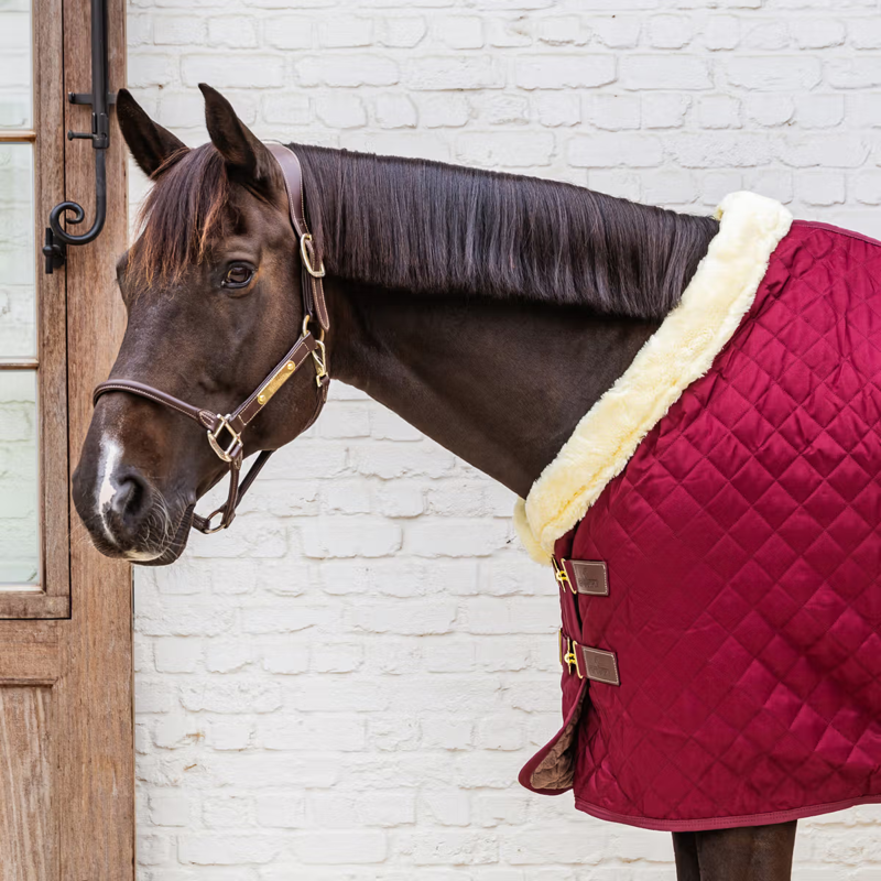 Kentucky Show Rug - Bordeaux-1