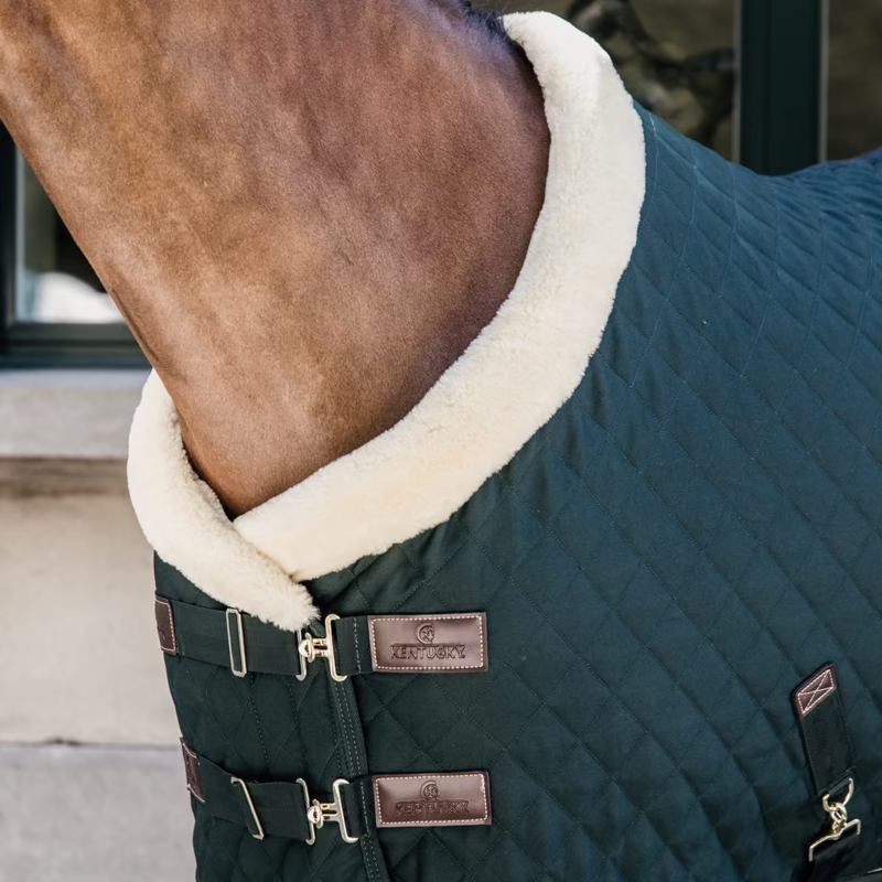 Kentucky Show Rug - Dark Green-1
