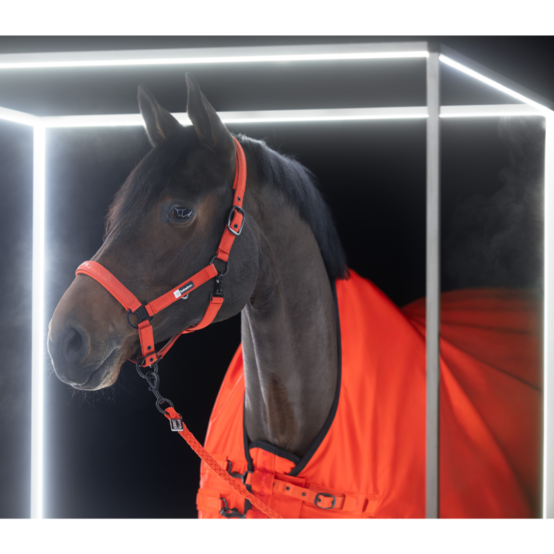 Eskadron Sparkle Double Pin Headcollar Dynamic AW25 - Poppy Red-2