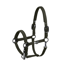 Eskadron Sparkle Double Pin Headcollar Dynamic AW25 - Deep Green