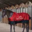 HV Polo Essential 200g Turnout Rug - Redrose