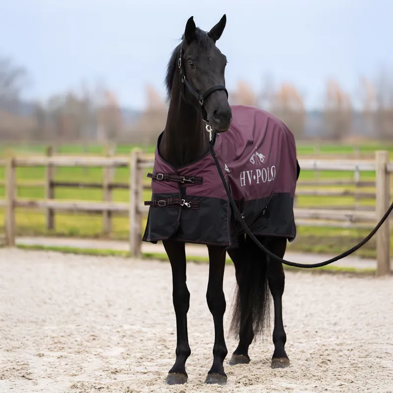 HV Polo Essential 200g Turnout Rug - Wine-1