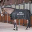 HV Polo Essential 200g Turnout Rug - Black