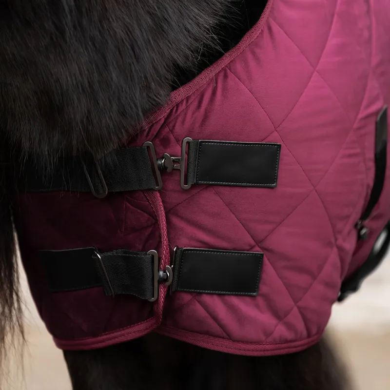 HV Polo Sacha Stable Rug - Wine-3