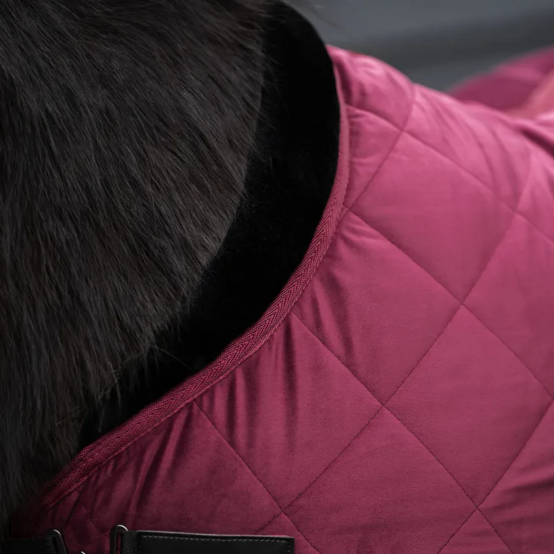 HV Polo Sacha Stable Rug - Wine-2