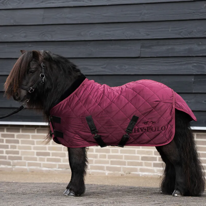 HV Polo Sacha Stable Rug - Wine
