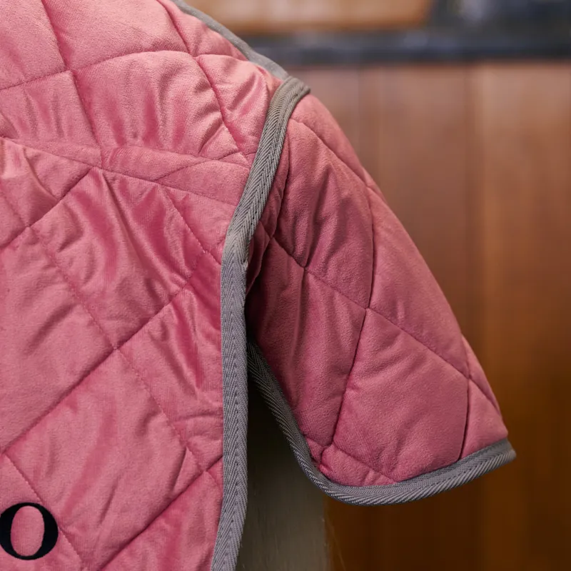 HV Polo Sacha Stable Rug - Think Pink-4