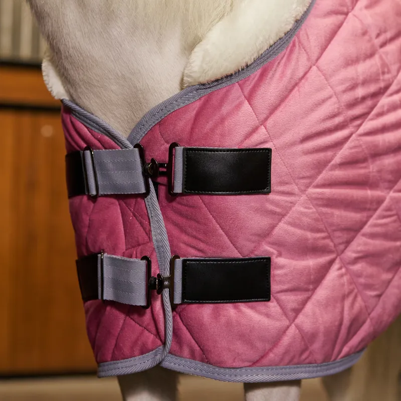 HV Polo Sacha Stable Rug - Think Pink-2