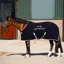 HV Polo Sacha Fleece Rug - Navy