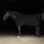 HV Polo Hela Fleece Rug - Black