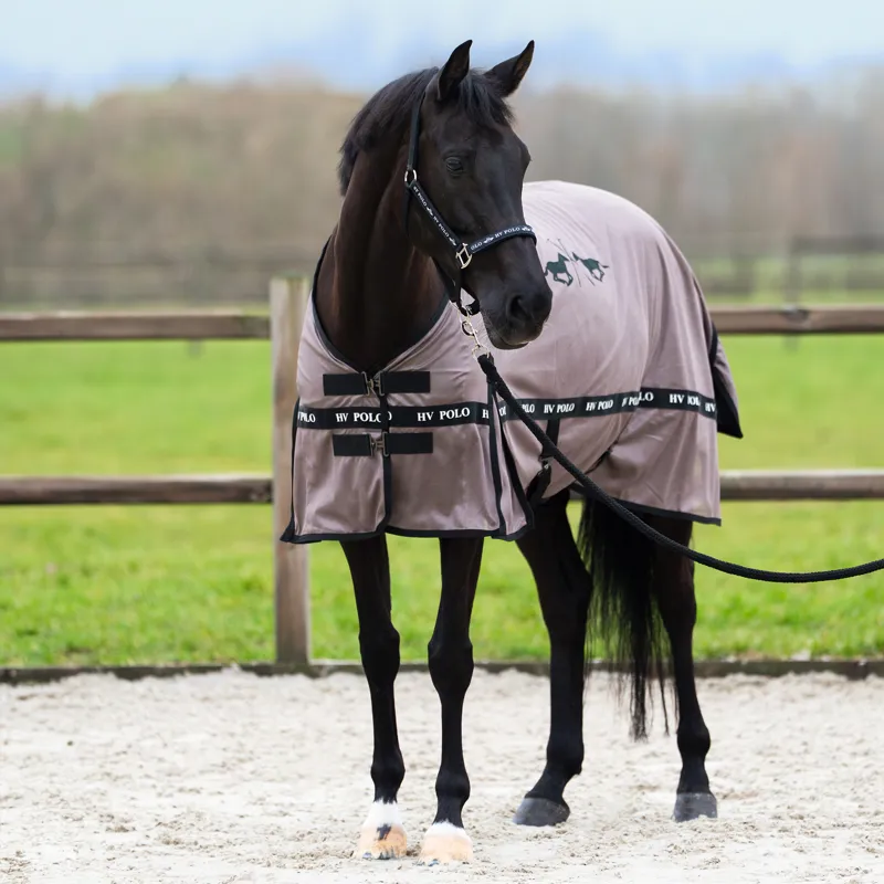 HV Polo Nena Fly Rug - Espresso-2