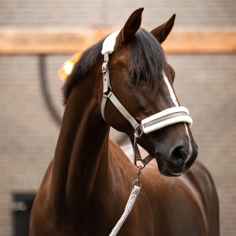Imperial Riding Classic Fur Headcollar - Taupe-1