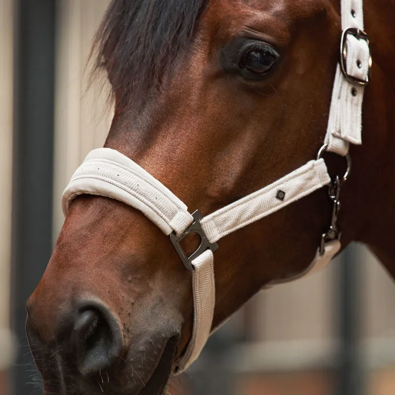 Imperial Riding Penny Herringbone Headcollar - Taupe-1