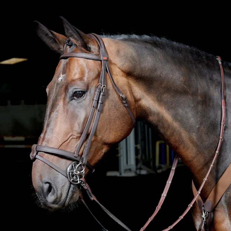 John Whitaker Ready to Ride Snaffle Bridle - Havana