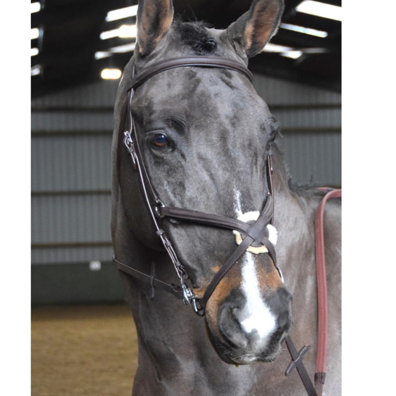 John Whitaker Ready to Ride Mexican Bridle - Havana-2