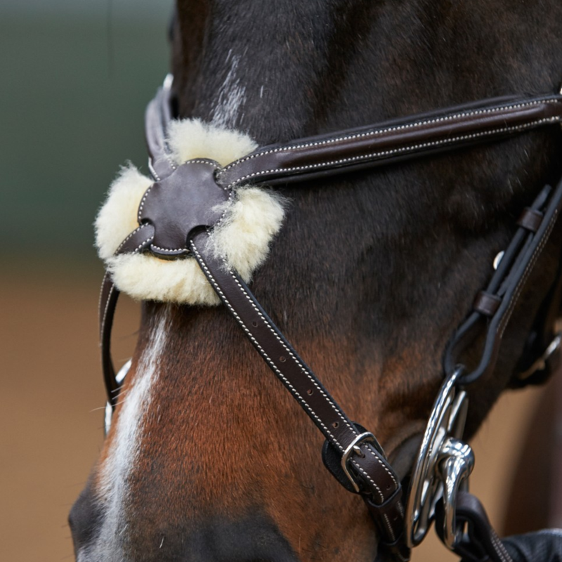 John Whitaker Eastwood Mexican Grackle Bridle - Havana -2