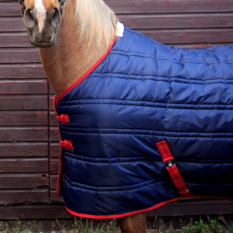 John Whitaker Thomas 250g Stable Rug - Navy/Red-2
