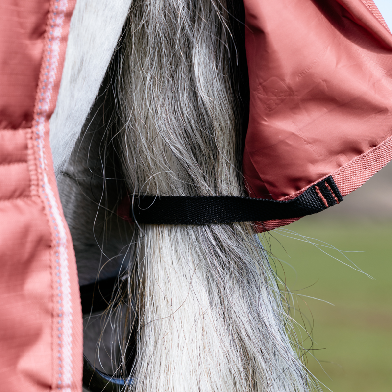 LeMieux Arika 200g Star Turnout Rug - Spiced Earth-2