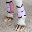 Kentucky Shetland Brushing Boots - Old Rose