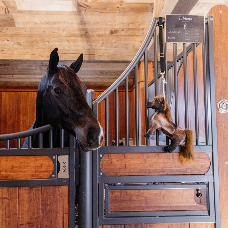 Kentucky Relax Horse Toy - Tableux-2