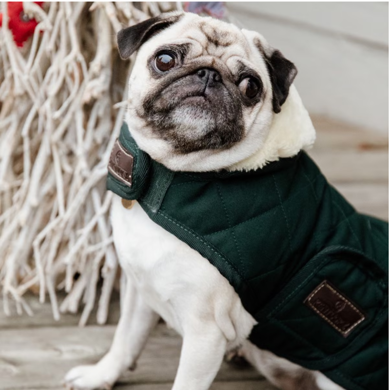 Kentucky Original Dog Coat - Dark Green-3