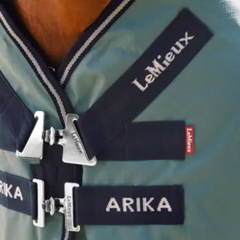 LeMieux Arika Ripstop 100g Turnout Rug - Aloe-2