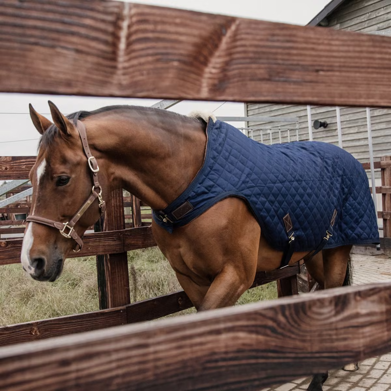Kentucky 160g Walker Rug - Navy-2