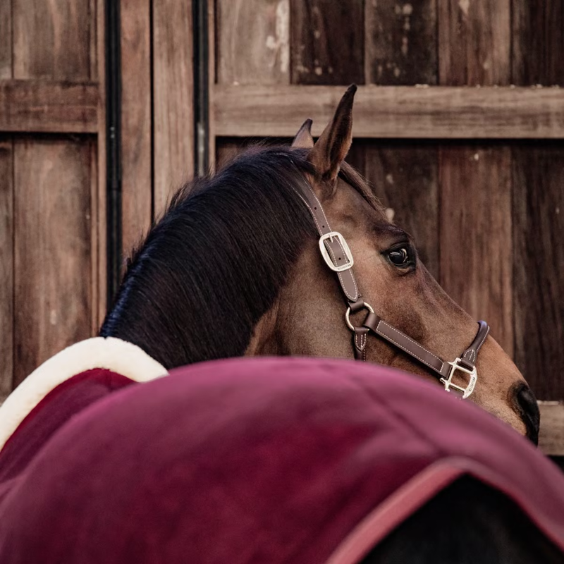 Kentucky Heavy Fleece Show Rug - Bordeaux-2