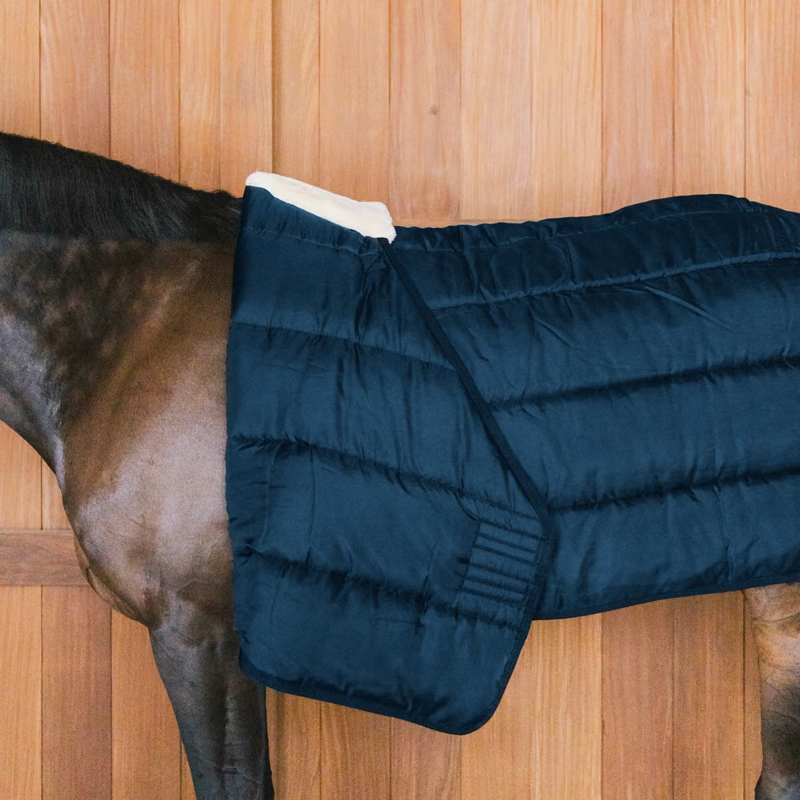 Kentucky 100g Comfort Liner - Navy-2