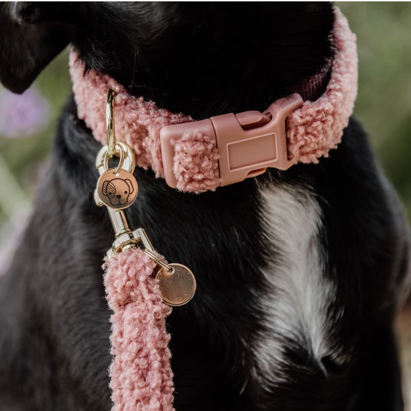 Kentucky Teddy Fleece Dog Collar - Old Rose-2
