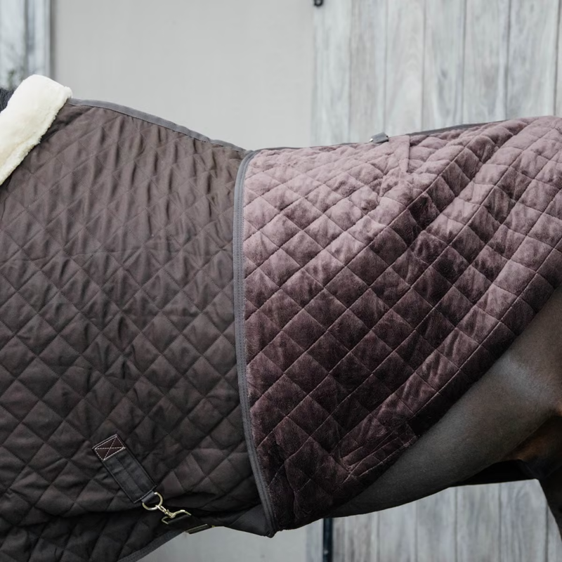 Kentucky Show Rug - Brown-3