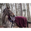 Kentucky Fleece Exercise Sheet - Bordeaux
