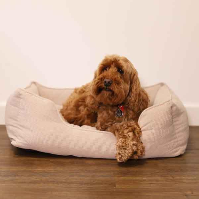 Rosewood Cord Square Pet Bed - Beige-2