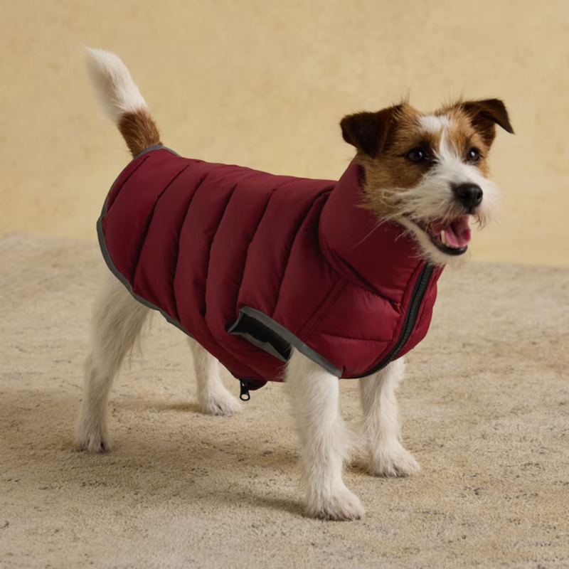 Joules Moorsdale Reversible Dog Puffer Coat - Navy-2