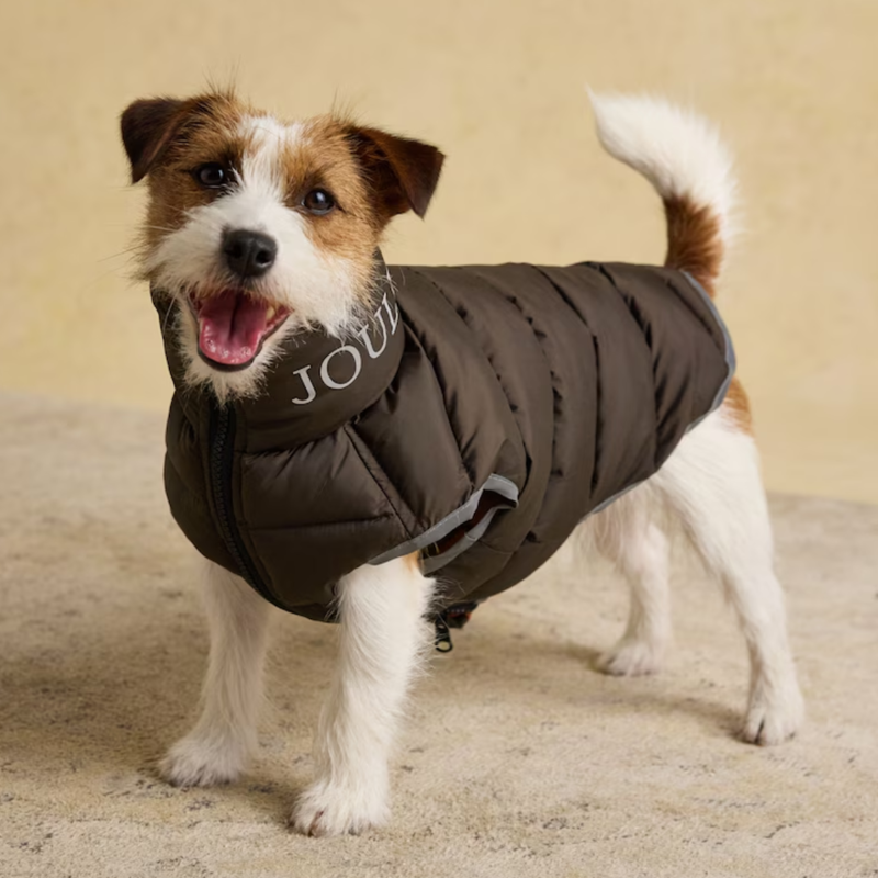Joules Moorsdale Reversible Dog Puffer Coat - Ketchup-3