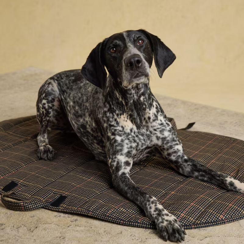 Joules Henson Check Travel Mat