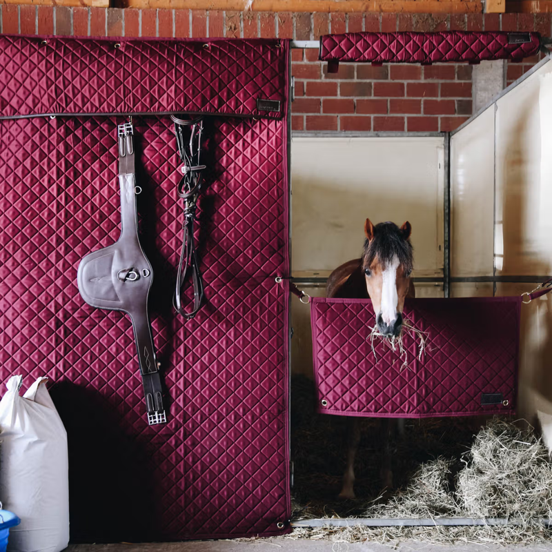 Kentucky Stable Head Protector - Bordeaux-2