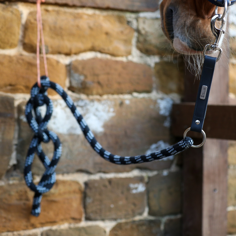 Equilibrium Stellar Safety Leadrope - Black-5
