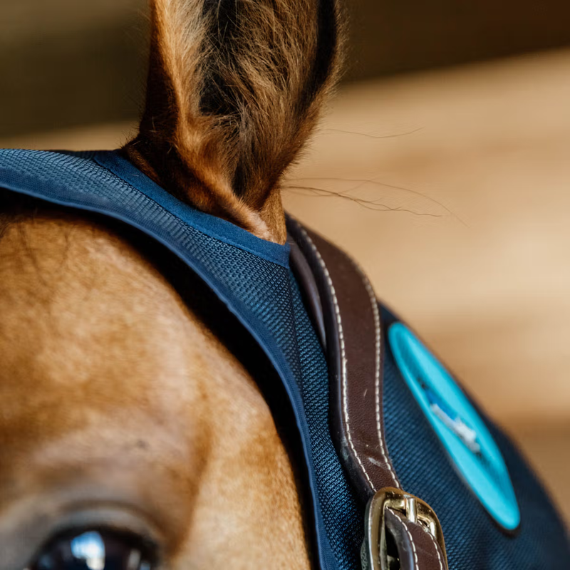 Kentucky Recuptex Magnetic Neck Protector-2