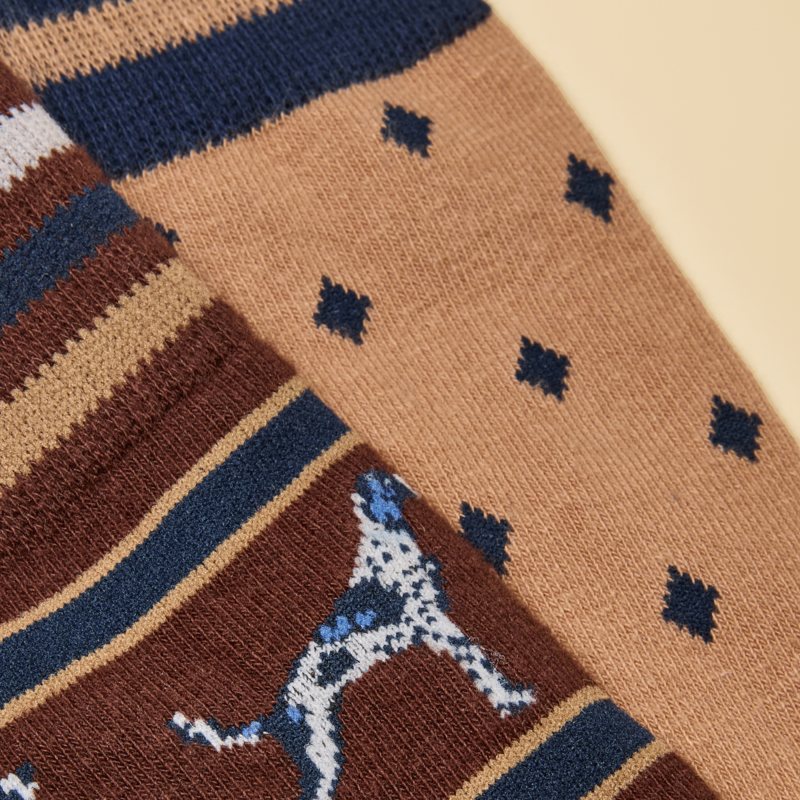 Joules Men's Kingsbury 2 Pack Socks - Brown Dog-2