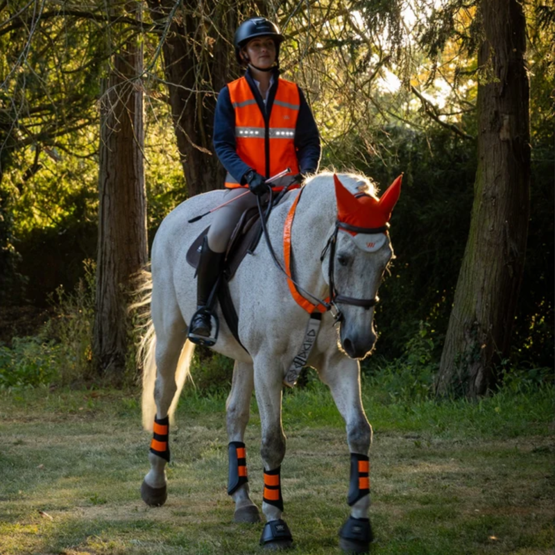 Woof Wear LED Hi Vis Riding Vest - Orange-2