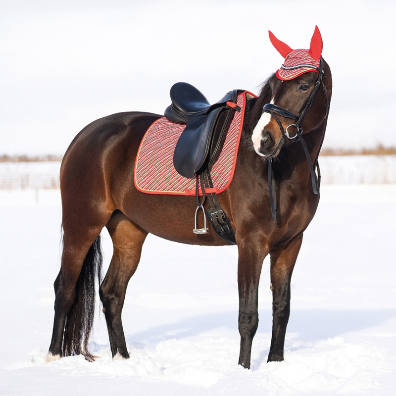 QHP Christmas D Saddle Pad - Jolly Stripe-3