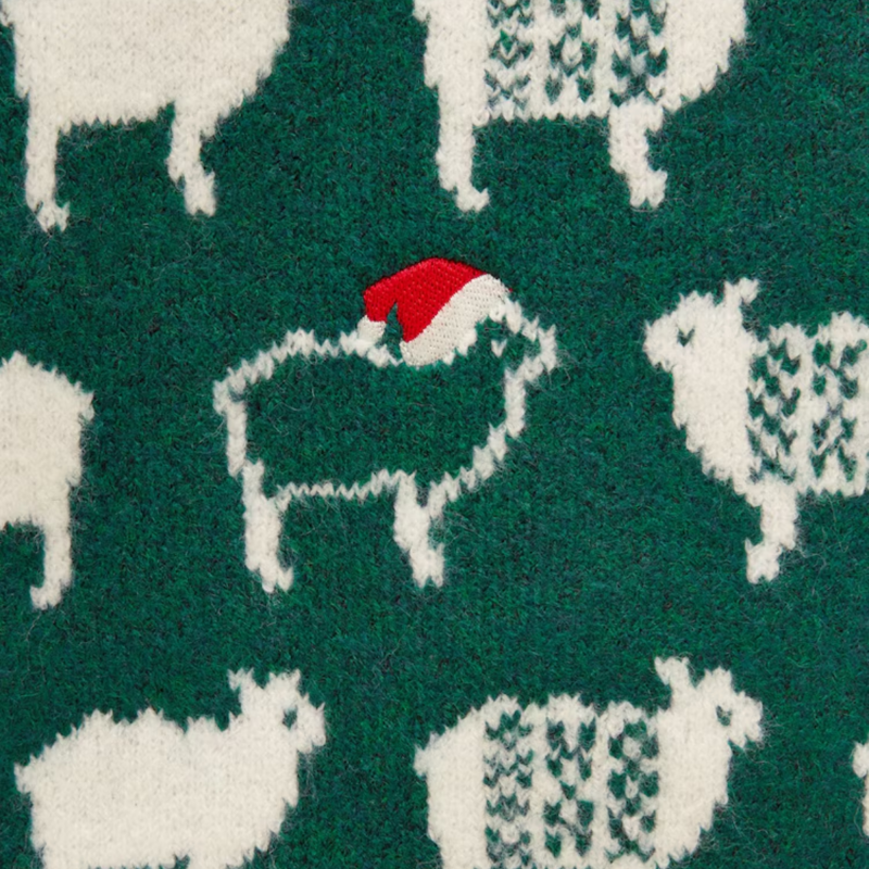 Joules Girls' Crew Jumper - Green-2