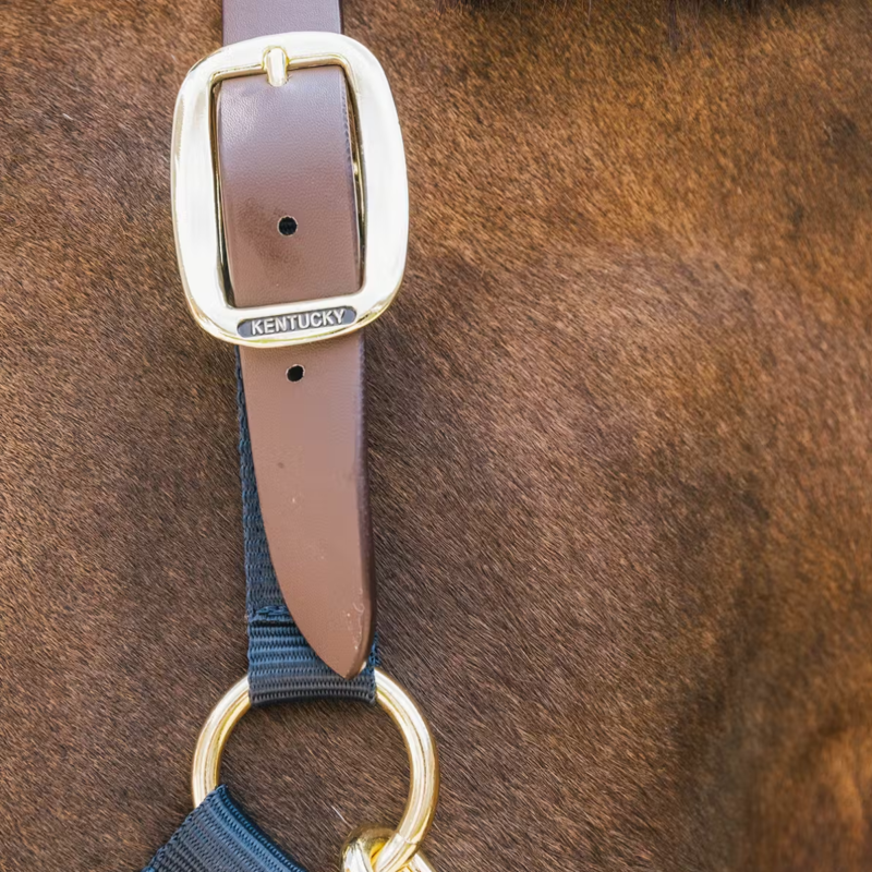 Kentucky Nylon Breakaway Headcollar - Navy-2