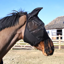 Kentucky Classic Fly Mask with Ears and Nose Tassels - Black