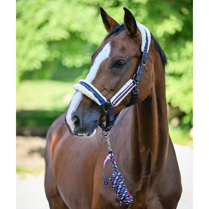 Tommy Hilfiger Yale Faux Fur Headcollar and Rope Set - Desert Sky-7