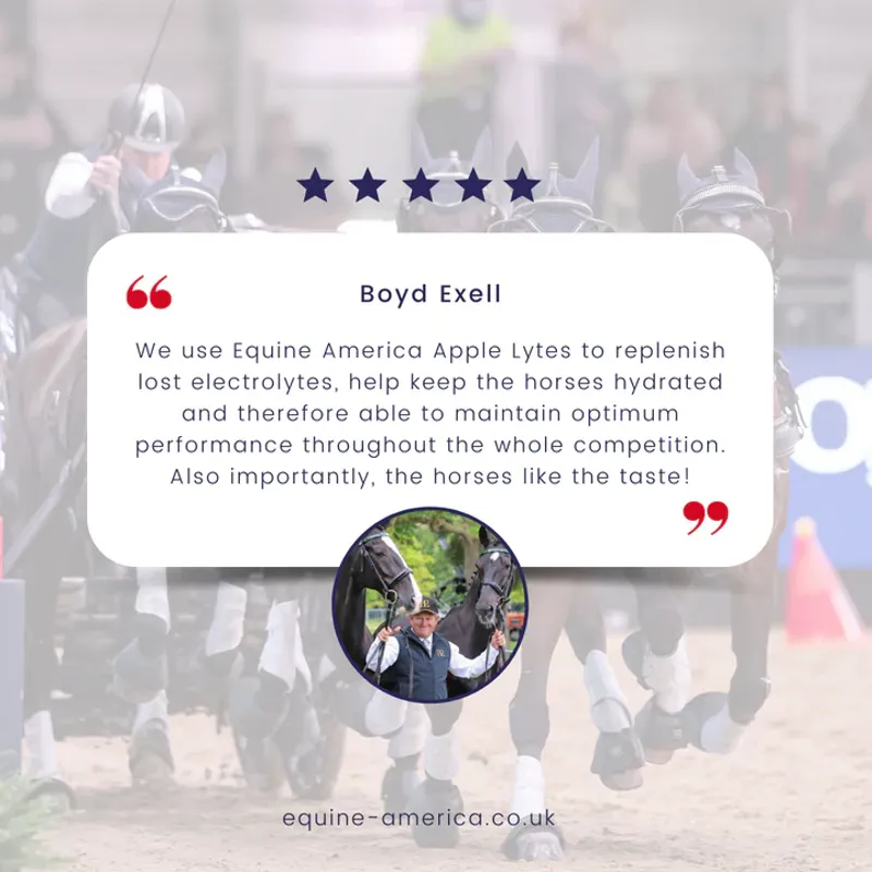 Equine America Apple Lytes Powder - 2.5kg-2